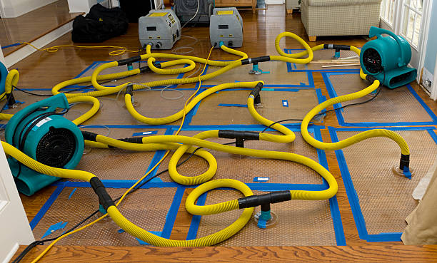 Professional Flood Damage Restoration technician working in Point Pleasant, PA